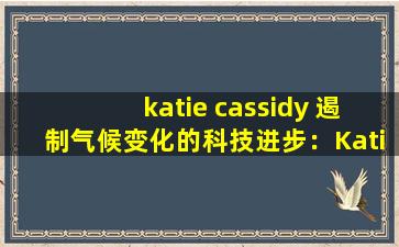 katie cassidy 遏制气候变化的科技进步：Katie Cassidy 谈人工智能与环保